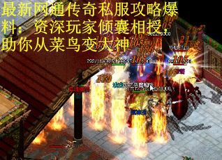 最新网通传奇私服攻略爆料：资深玩家倾囊相授，助你从菜鸟变大神