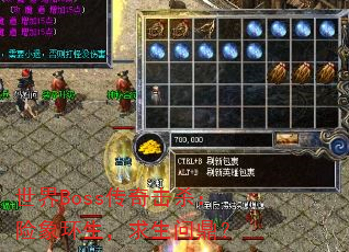 ����Boss�����ɱ���������������ʶ���