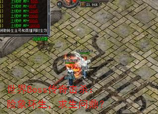 ����Boss�����ɱ���������������ʶ���