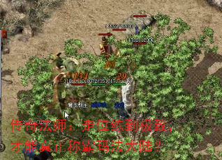 ���淨ʦ����λ�������£����������ư��귨��½��