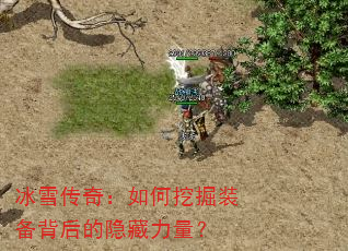 ��ѩ���棺����ھ�װ�����������������