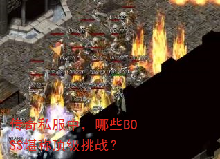 ����˽���У���ЩBOSS���ƶ�����ս��
