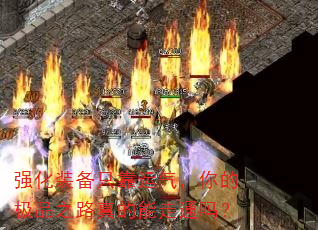 ǿ��װ��ֻ����������ļ�Ʒ֮·�������ͨ��