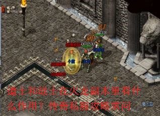 ��ʿ��սʿ�ڻ�����������ʲô���ã�����˽����������