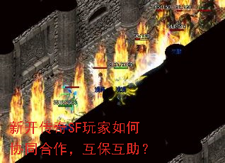 �¿�����SF������Эͬ����������������