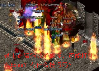 ��ʿ����������ˢ�֣����ܴ�ʲôboss����ʲô������
