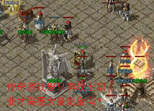 ������Ϸ��ֻ��սʿְҵ����Ҫ����봽���