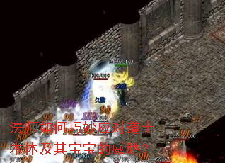 ��ʦ�������Ӧ�Ե�ʿ���弰�䱦������в��