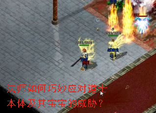 ��ʦ�������Ӧ�Ե�ʿ���弰�䱦������в��