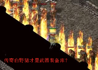 �����Ұ����������װ���⣿