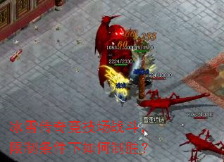 ��ѩ���澺����ս�������������������ʤ��