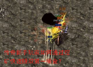 ��������������ͨ���ڿ����׬ȡ��һͰ��