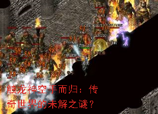 ��������ֶ��飺���������δ��֮�գ�
