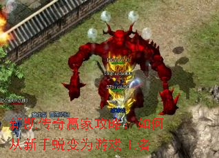 �¿�����Ӯ�ҹ��ԣ���δ������ɱ�Ϊ��Ϸ����