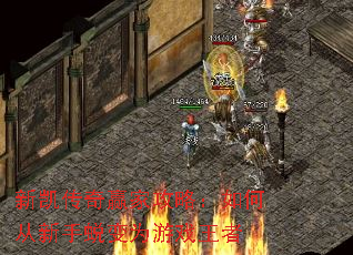 �¿�����Ӯ�ҹ��ԣ���δ������ɱ�Ϊ��Ϸ����
