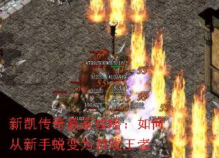 �¿�����Ӯ�ҹ��ԣ���δ������ɱ�Ϊ��Ϸ����