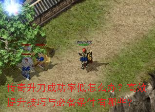 ���������ɹ��ʵ���ô�죿��Ч����������ر���������Щ��