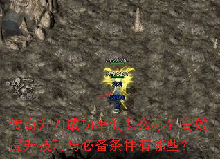 ���������ɹ��ʵ���ô�죿��Ч����������ر���������Щ��