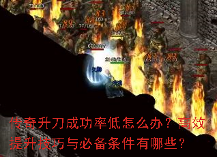 ���������ɹ��ʵ���ô�죿��Ч����������ر���������Щ��