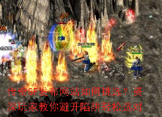 ����SF������վ�����ѡ��������ҽ���ܿ���������ѡ��