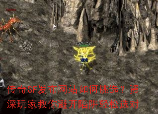 ����SF������վ�����ѡ��������ҽ���ܿ���������ѡ��