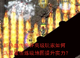 ����Ѫ����SF�߼�������ѡ�����������ͼ����ʵ����