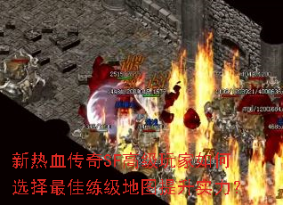 ����Ѫ����SF�߼�������ѡ�����������ͼ����ʵ����