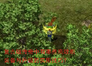 ���Ű洫��������Щ��Чˢװ����������ʵ�ü��ɣ�