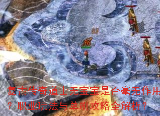 ���Ŵ����ʿ�ޱ����Ƿ�������ã�ְҵ�淨�뵥ˢ����ȫ������