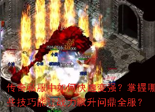 ����˽������ο��ٱ�ǿ��������Щ��������ս������ʶ�ȫ����