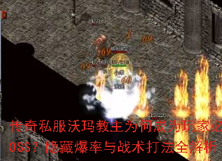 ����˽���������Ϊ�γ�Ϊ��ұ���BOSS�����ر�����ս����ȫ����