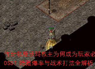 ����˽���������Ϊ�γ�Ϊ��ұ���BOSS�����ر�����ս����ȫ����