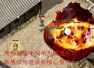 ����˽���й���Ϊ�γ�Ϊ���������׷���ĺ��Ľ��㣿