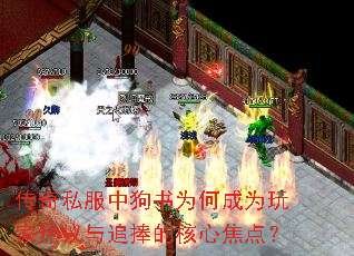 ����˽���й���Ϊ�γ�Ϊ���������׷���ĺ��Ľ��㣿