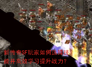 �´���SF������ѡ���ܲ���Чѧϰ����ս����