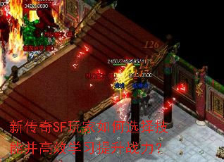 �´���SF������ѡ���ܲ���Чѧϰ����ս����