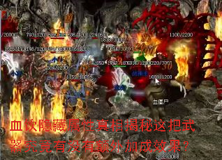 Ѫ������������������������������û�ж���ӳ�Ч����