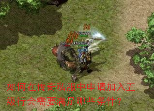 ����ڴ���˽������������弶�л���Ҫ������Щ������
