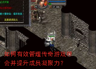 �����Ч����������Ϸ��Ტ������Ա��������