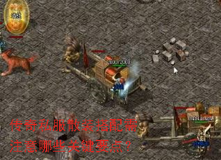 ����˽��ɢװ������ע����Щ�ؼ�Ҫ�㣿