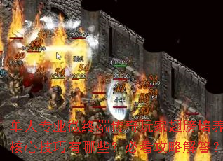 ����רҵ΢�ն˴�����ҳ���������ļ�������Щ���ؿ����Խ��