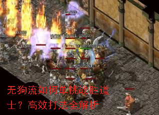 �޹�����ε���սʤ��ʿ����Ч��ȫ����