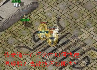 �����ʿ���л�����ο��ٻ쾭�飿��Ч��������Щ��