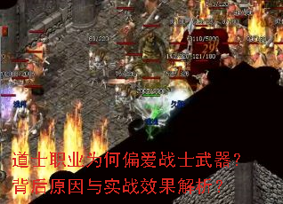 ��ʿְҵΪ��ƫ��սʿ����������ԭ����ʵսЧ��������