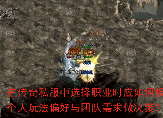 �ڴ���˽����ѡ��ְҵʱӦ��θ��ݸ����淨ƫ�����Ŷ����������ߣ�