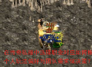 �ڴ���˽����ѡ��ְҵʱӦ��θ��ݸ����淨ƫ�����Ŷ����������ߣ�