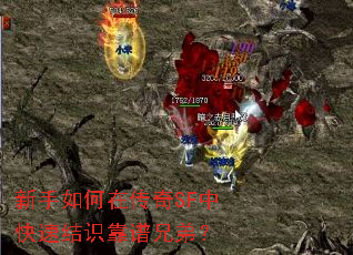 ��������ڴ���SF�п��ٽ�ʶ�����ֵܣ�
