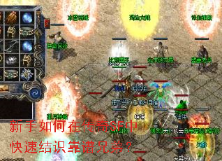 ��������ڴ���SF�п��ٽ�ʶ�����ֵܣ�