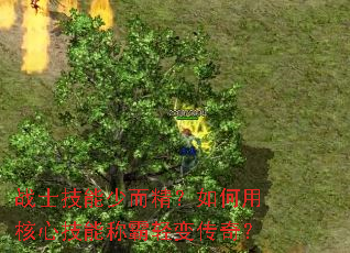 սʿ�����ٶ���������ú��ļ��ܳư���䴫�棿
