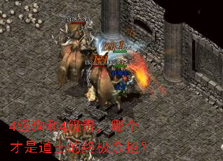 4������4�������ĸ����ǵ�ʿ���ռ�ɱ�У�